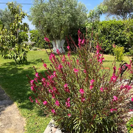 Les Olives Woodhouse Nyaraló