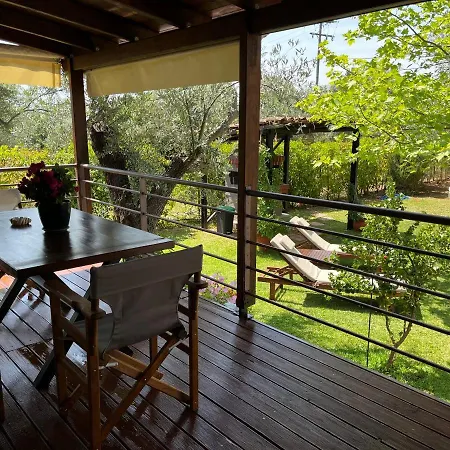 Les Olives Woodhouse Holiday home Drosia (Central Greece)