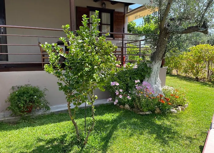 Les Olives Woodhouse Drosia (Central Greece)