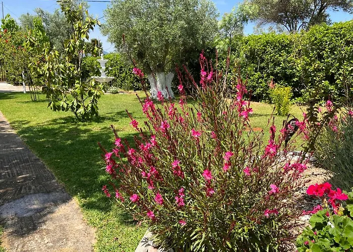 Les Olives Woodhouse Holiday home